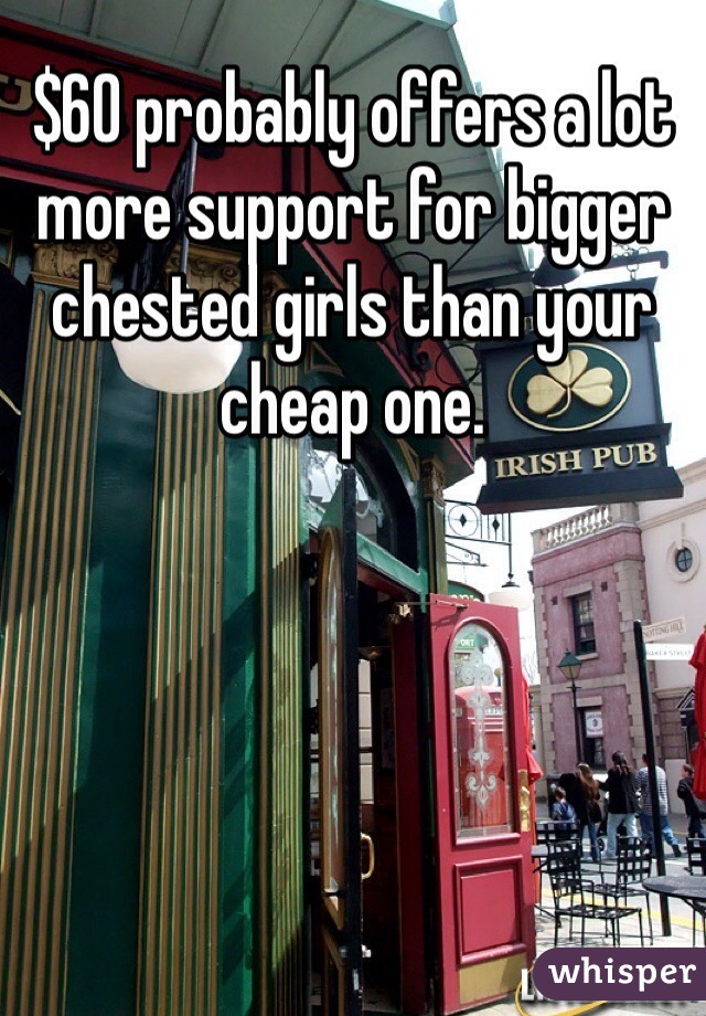 $60 probably offers a lot more support for bigger chested girls than your cheap one. 
