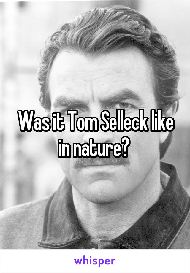 Was it Tom Selleck like in nature? 