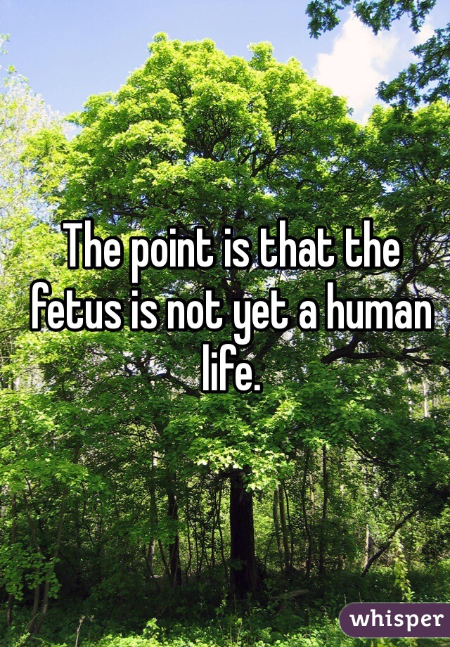 The point is that the fetus is not yet a human life.