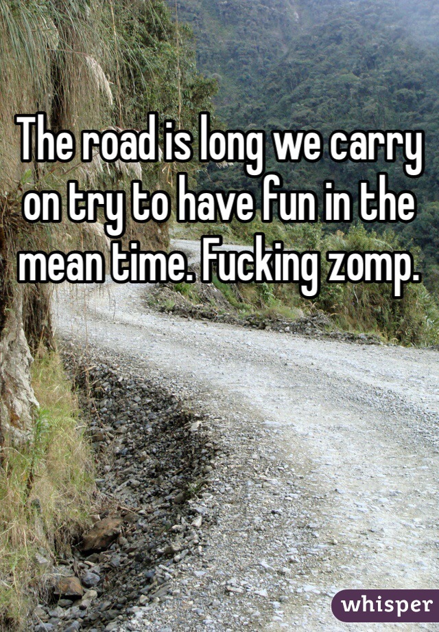 The road is long we carry on try to have fun in the mean time. Fucking zomp. 