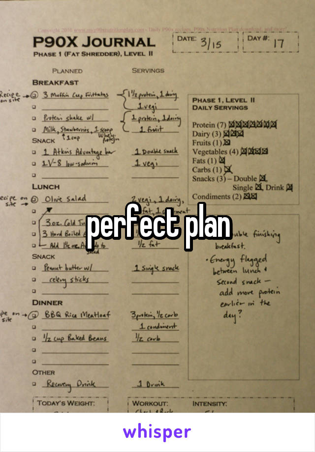 perfect plan