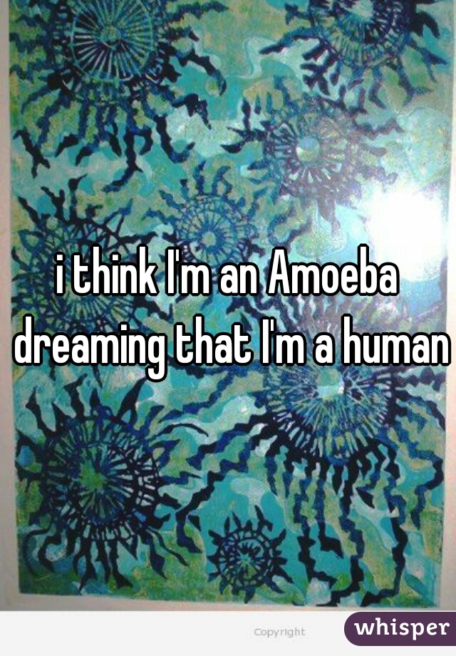 i think I'm an Amoeba dreaming that I'm a human