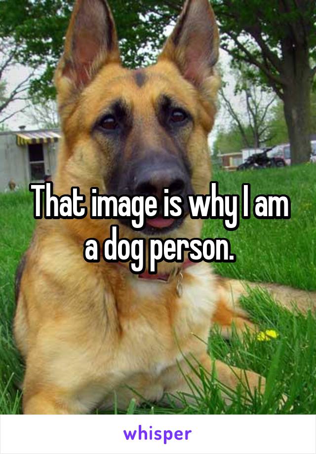 That image is why I am a dog person.