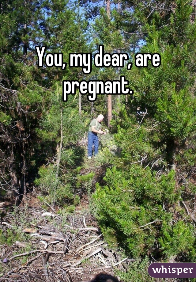 You, my dear, are pregnant.