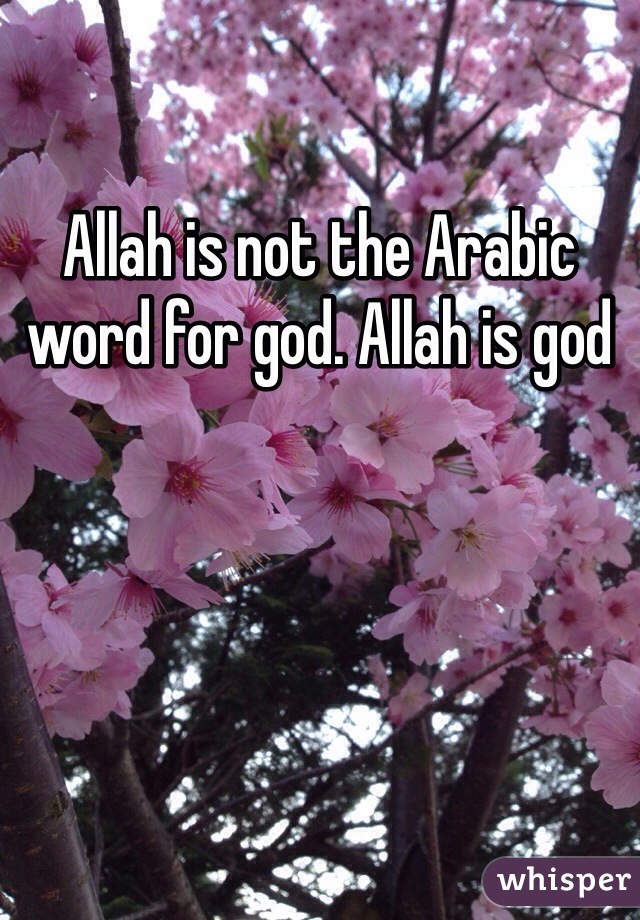 Allah is not the Arabic word for god. Allah is god 