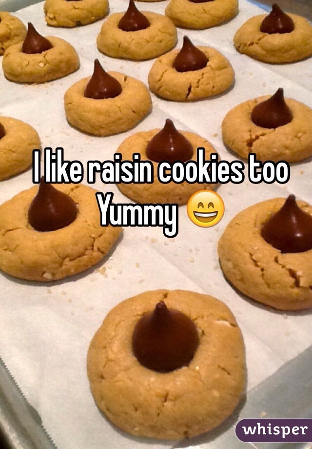 I like raisin cookies too
Yummy 😄