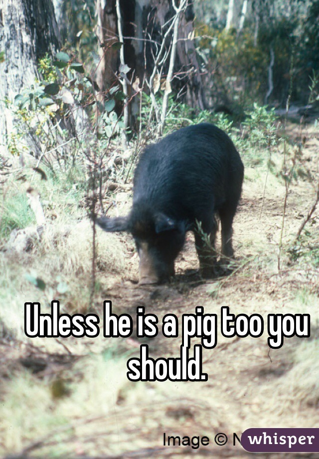 Unless he is a pig too you should.