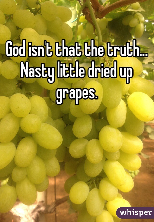 God isn't that the truth... Nasty little dried up grapes.