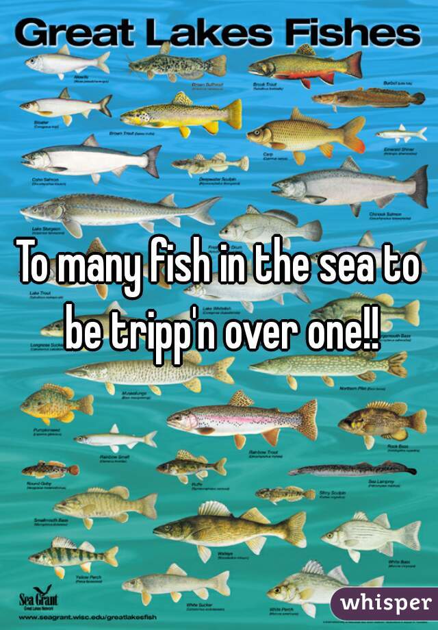 To many fish in the sea to be tripp'n over one!!
