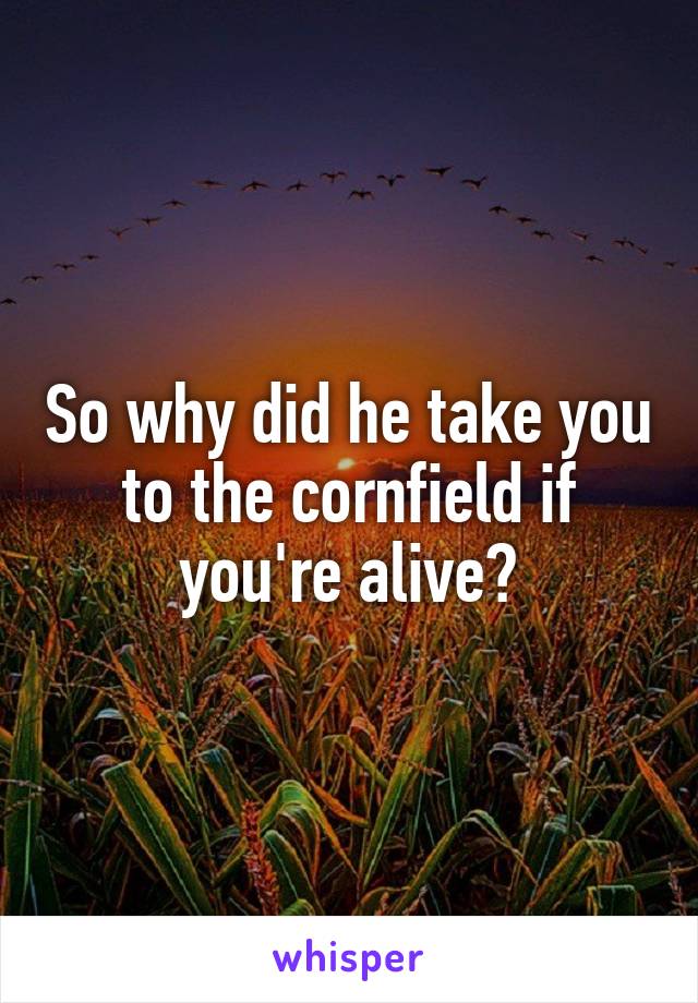 So why did he take you to the cornfield if you're alive?