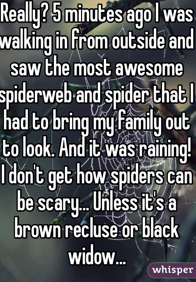 Really? 5 minutes ago I was walking in from outside and saw the most awesome spiderweb and spider that I had to bring my family out to look. And it was raining!
I don't get how spiders can be scary... Unless it's a brown recluse or black widow...