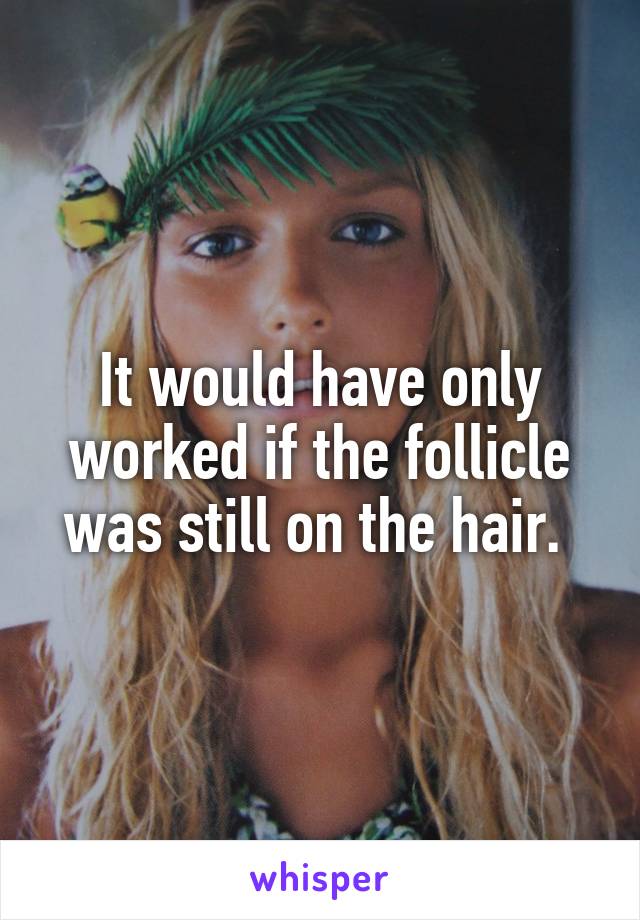 It would have only worked if the follicle was still on the hair. 