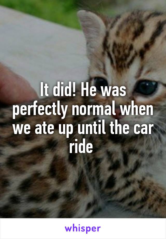 It did! He was perfectly normal when we ate up until the car ride 