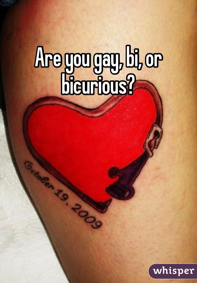 Are you gay, bi, or bicurious?