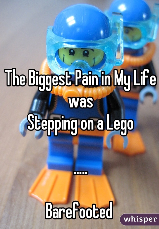 The Biggest Pain in My Life was 
Stepping on a Lego

.....

Barefooted 