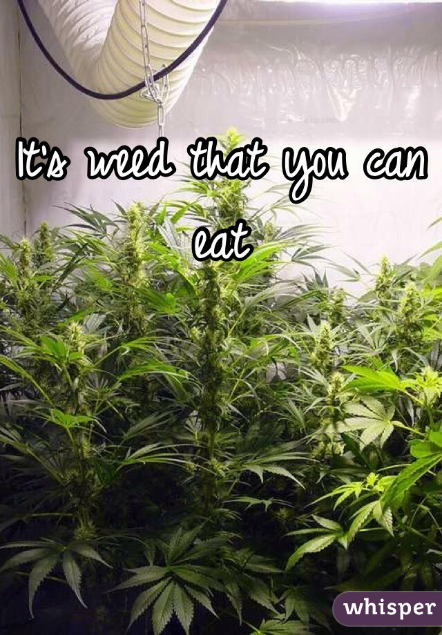 It's weed that you can eat 