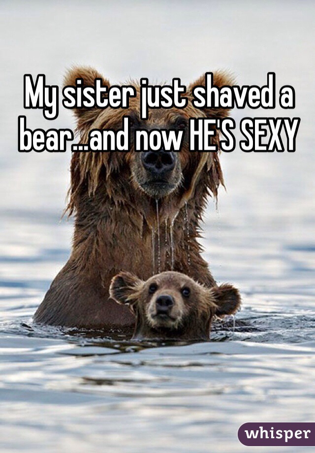 My sister just shaved a bear...and now HE'S SEXY
