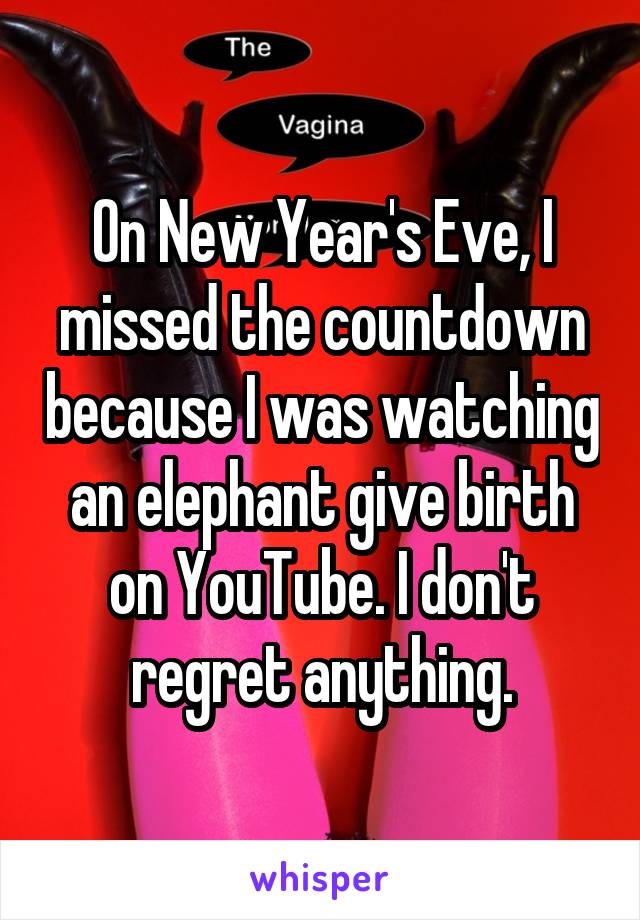 On New Year's Eve, I missed the countdown because I was watching an elephant give birth on YouTube. I don't regret anything.