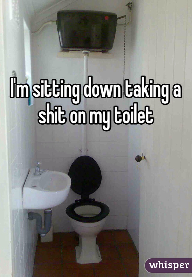 I'm sitting down taking a shit on my toilet
