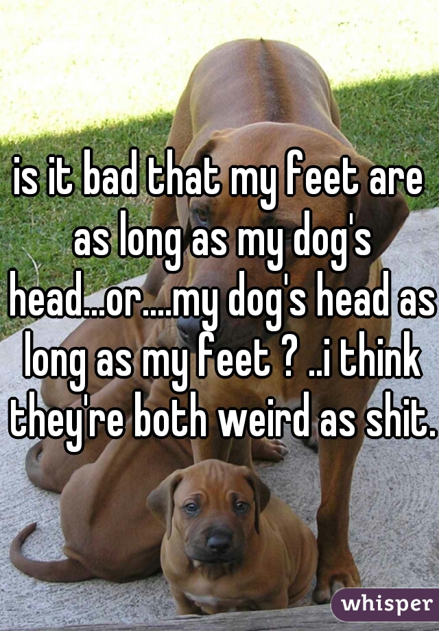 is it bad that my feet are as long as my dog's head...or....my dog's head as long as my feet ? ..i think they're both weird as shit. 