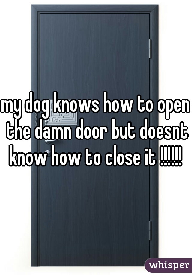my dog knows how to open the damn door but doesnt know how to close it !!!!!! 
