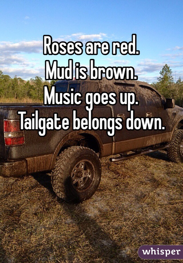 Roses are red. 
Mud is brown. 
Music goes up. 
Tailgate belongs down. 