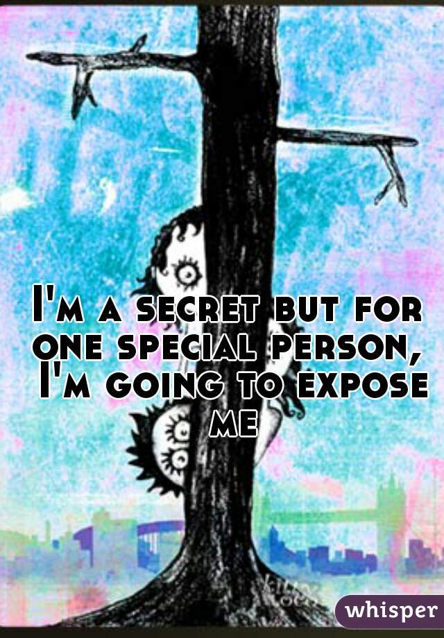 I'm a secret but for one special person,  I'm going to expose me