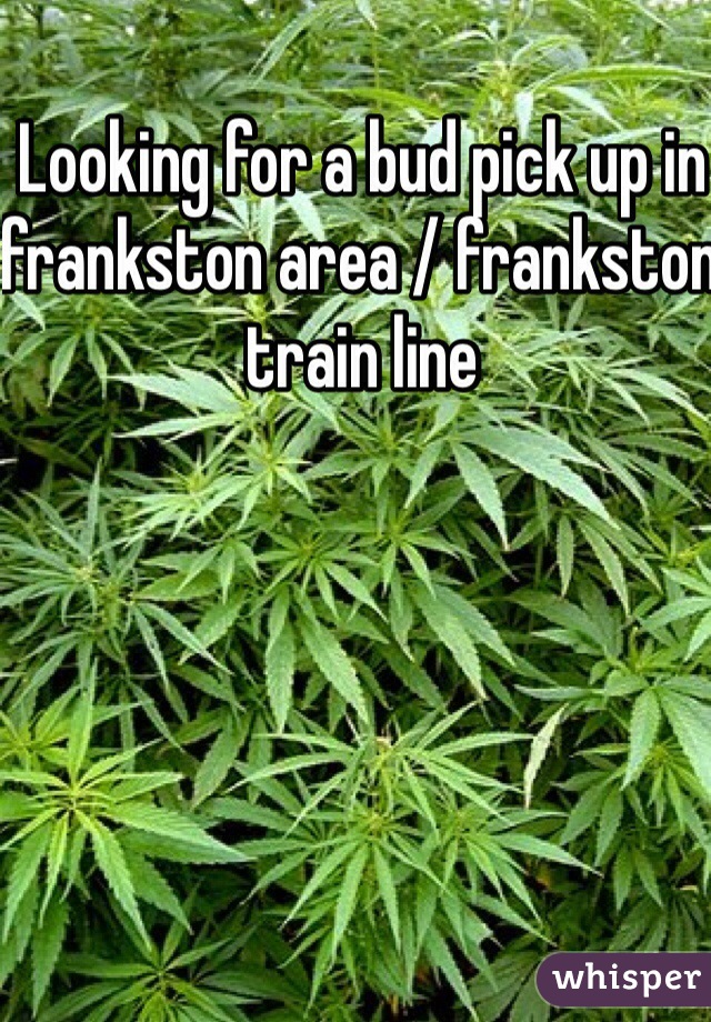 Looking for a bud pick up in frankston area / frankston train line 