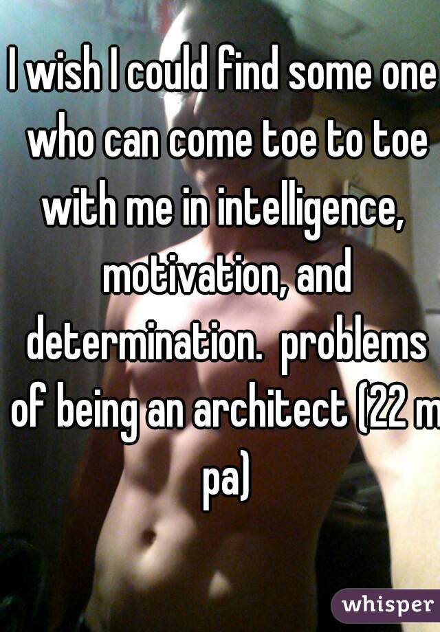 I wish I could find some one who can come toe to toe with me in intelligence,  motivation, and determination.  problems of being an architect (22 m pa)