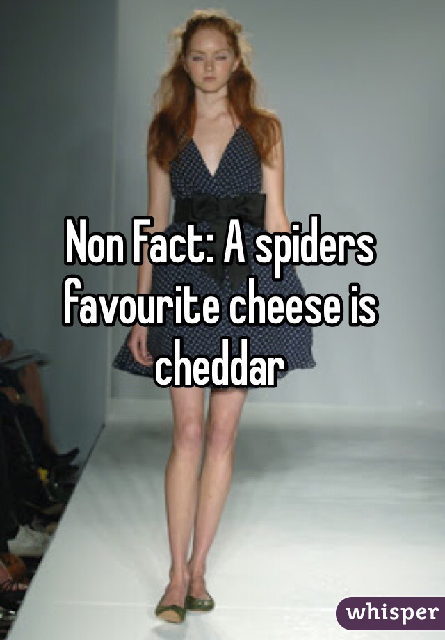 Non Fact: A spiders favourite cheese is cheddar