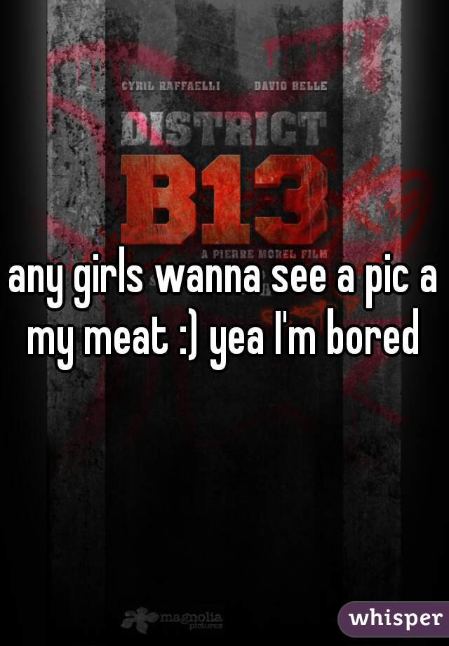 any girls wanna see a pic a my meat :) yea I'm bored 