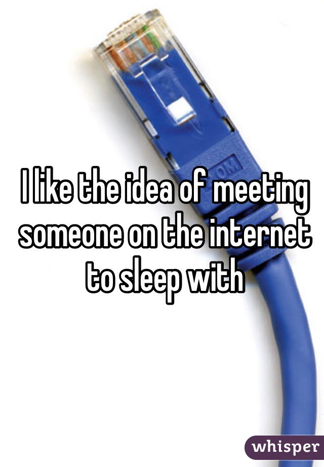 I like the idea of meeting someone on the internet to sleep with 