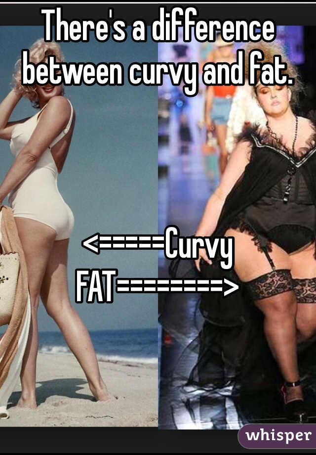 There's a difference between curvy and fat. 



<=====Curvy
FAT========>