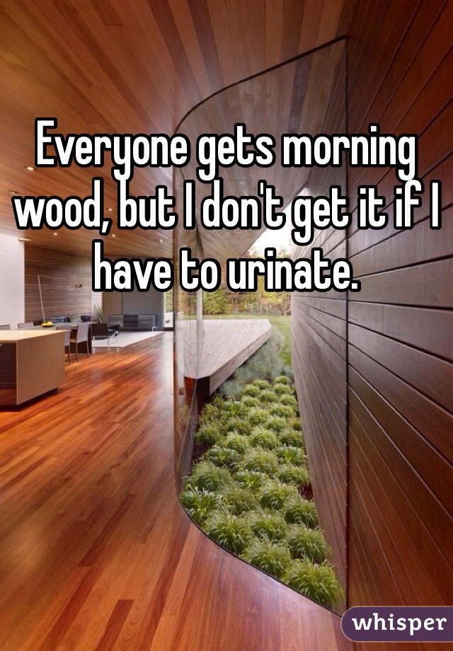 Everyone gets morning wood, but I don't get it if I have to urinate. 