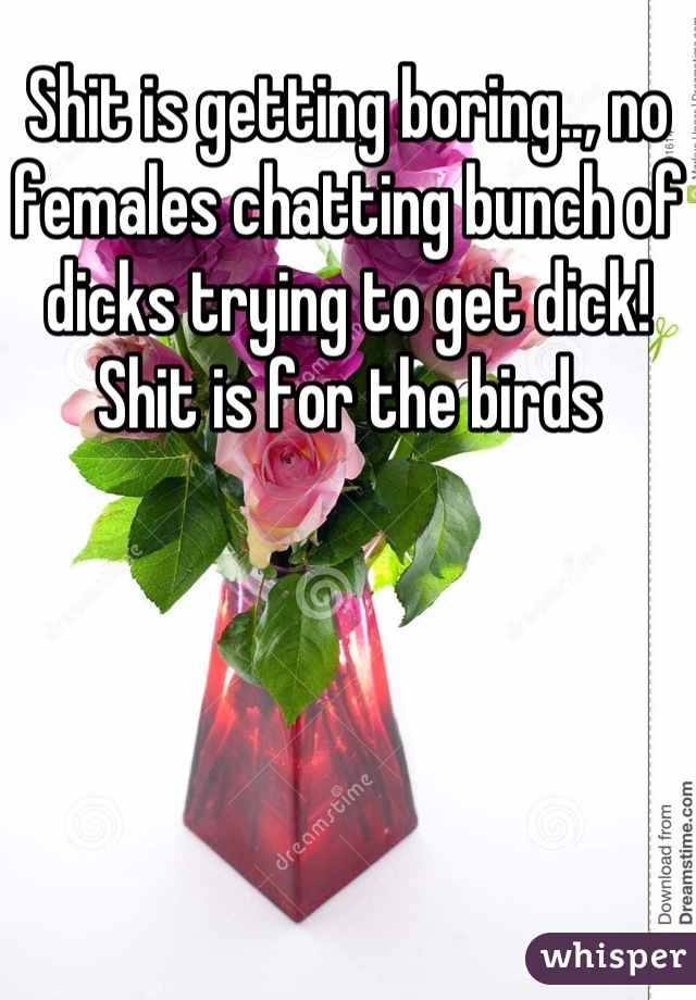 Shit is getting boring.., no females chatting bunch of dicks trying to get dick! Shit is for the birds