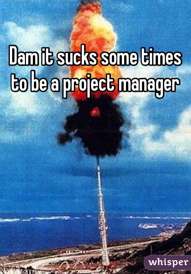 Dam it sucks some times to be a project manager