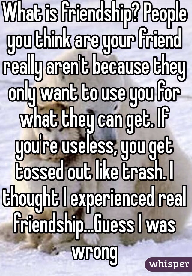 What is friendship? People you think are your friend really aren't because they only want to use you for what they can get. If you're useless, you get tossed out like trash. I thought I experienced real friendship...Guess I was wrong 