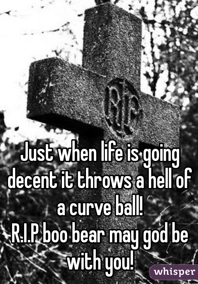 Just when life is going decent it throws a hell of a curve ball! 
R.I.P boo bear may god be with you!