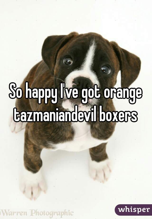 So happy I've got orange tazmaniandevil boxers 