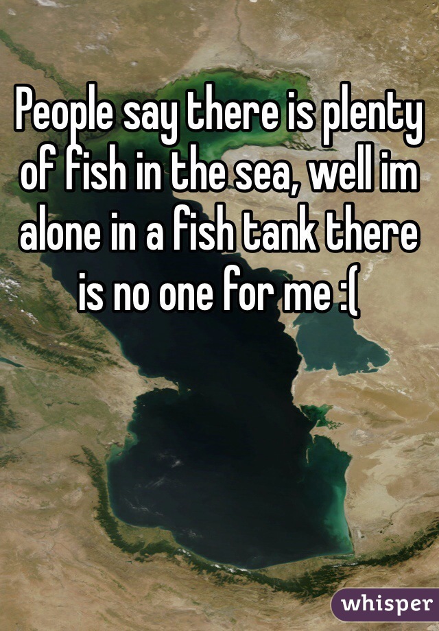 People say there is plenty of fish in the sea, well im alone in a fish tank there is no one for me :(