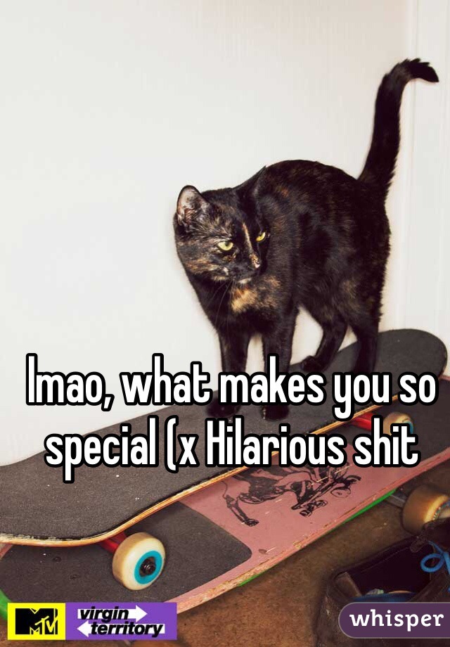 lmao, what makes you so special (x Hilarious shit 