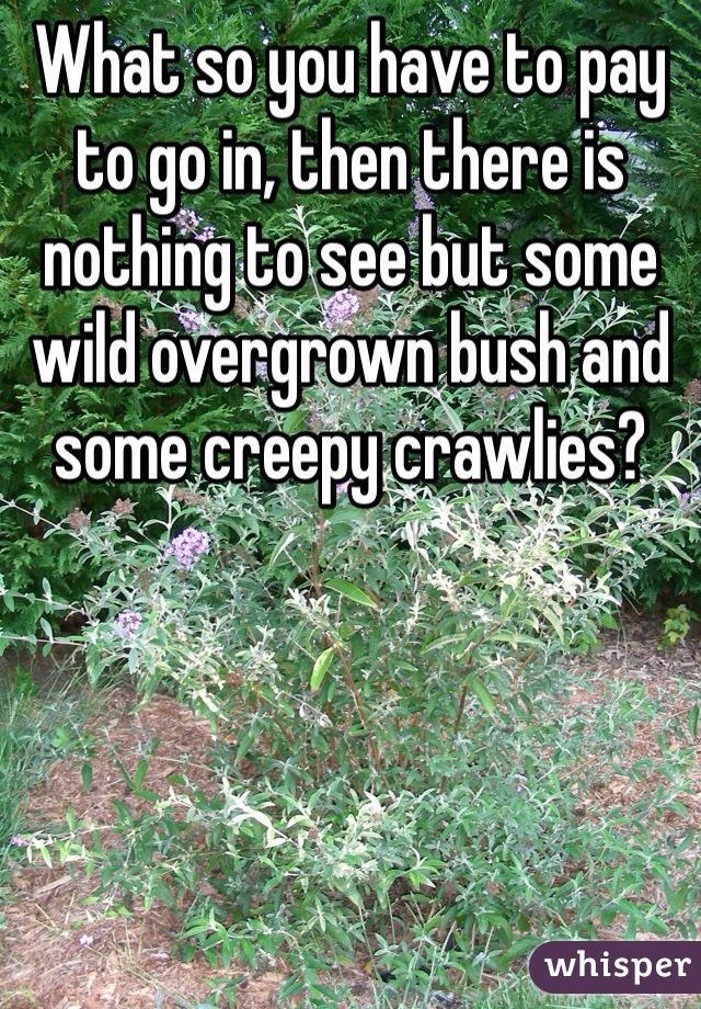 What so you have to pay to go in, then there is nothing to see but some wild overgrown bush and some creepy crawlies?