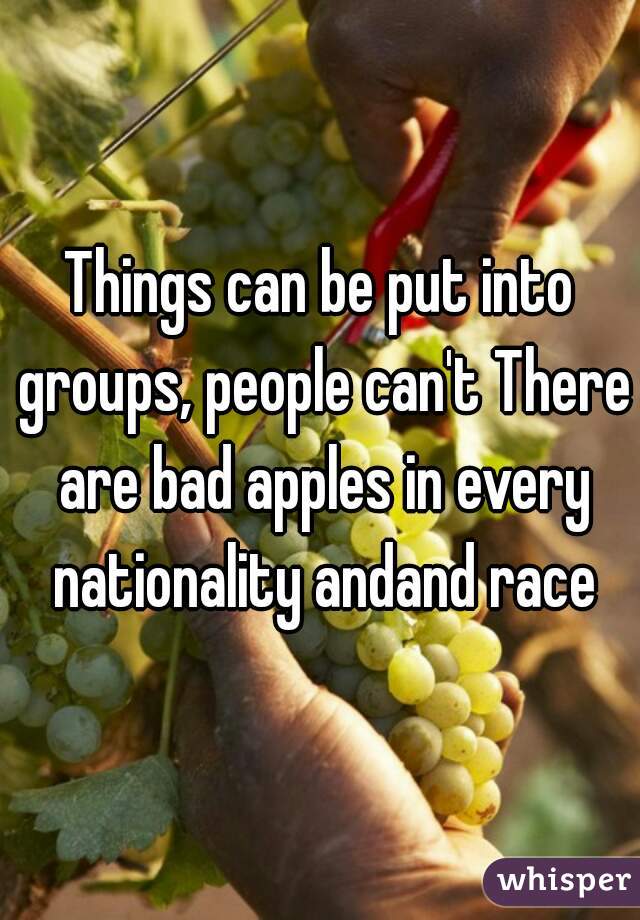 Things can be put into groups, people can't There are bad apples in every nationality andand race