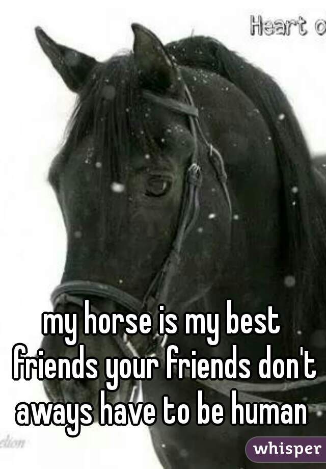 my horse is my best friends your friends don't aways have to be human 