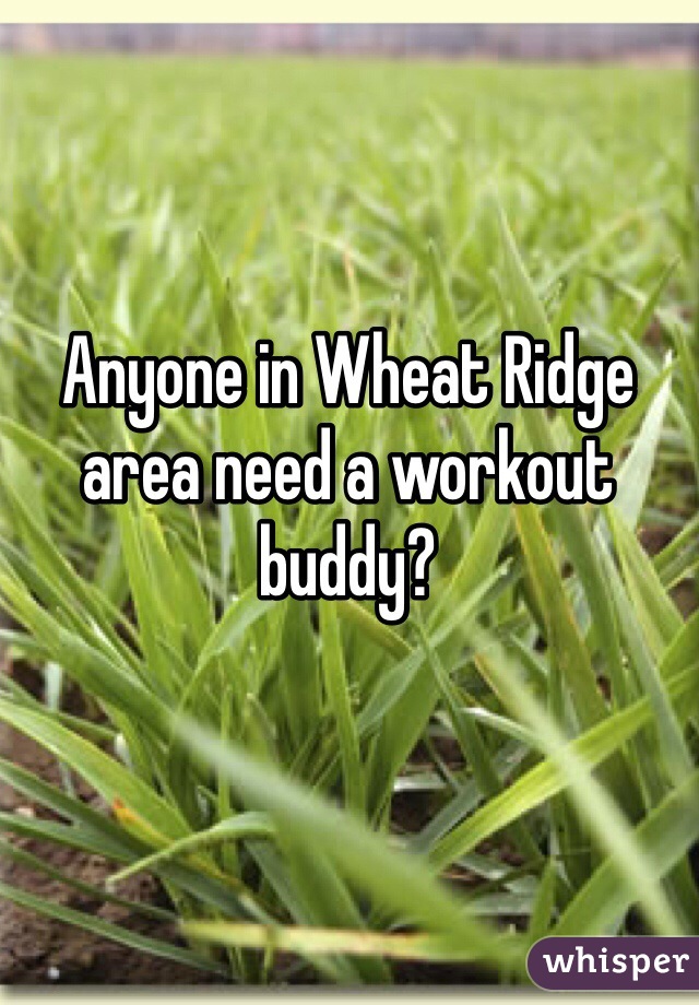 Anyone in Wheat Ridge area need a workout buddy?