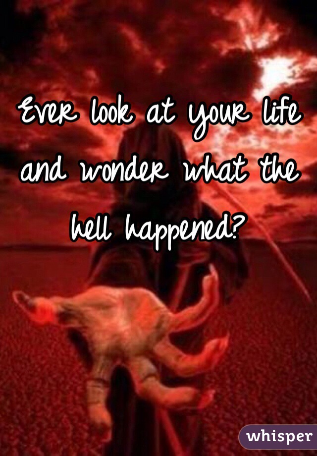 Ever look at your life and wonder what the hell happened?
