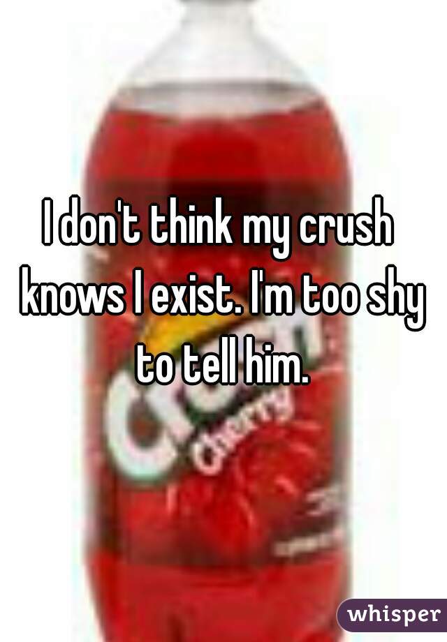I don't think my crush knows I exist. I'm too shy to tell him.