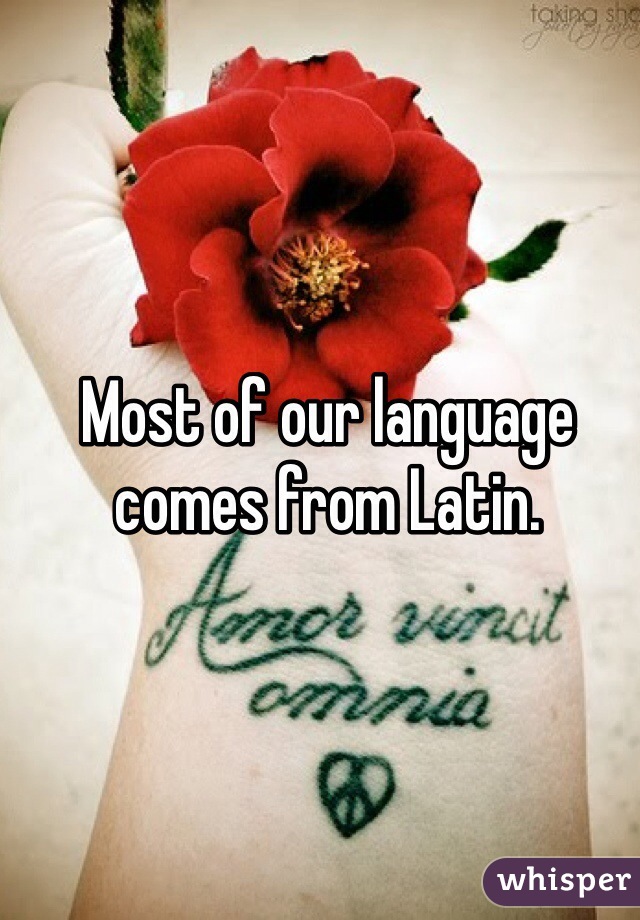 Most of our language comes from Latin. 