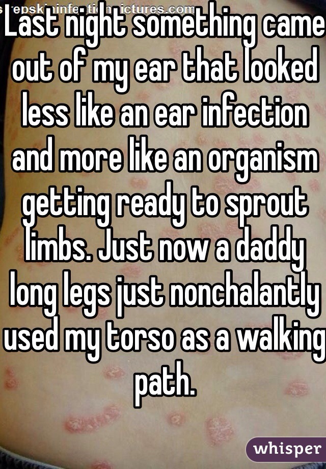 Last night something came out of my ear that looked less like an ear infection and more like an organism getting ready to sprout limbs. Just now a daddy long legs just nonchalantly used my torso as a walking path.