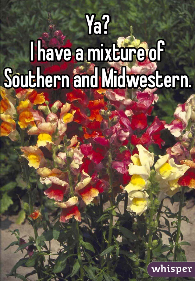 Ya?
I have a mixture of Southern and Midwestern.